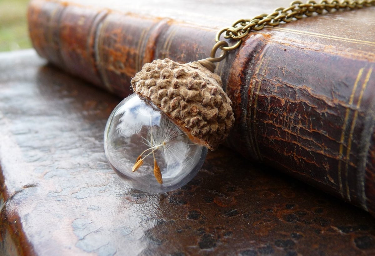 Image of Acorn Dandelion Seed Necklace