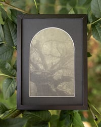 Image 2 of THE BOWELS - FRAMED PRINT