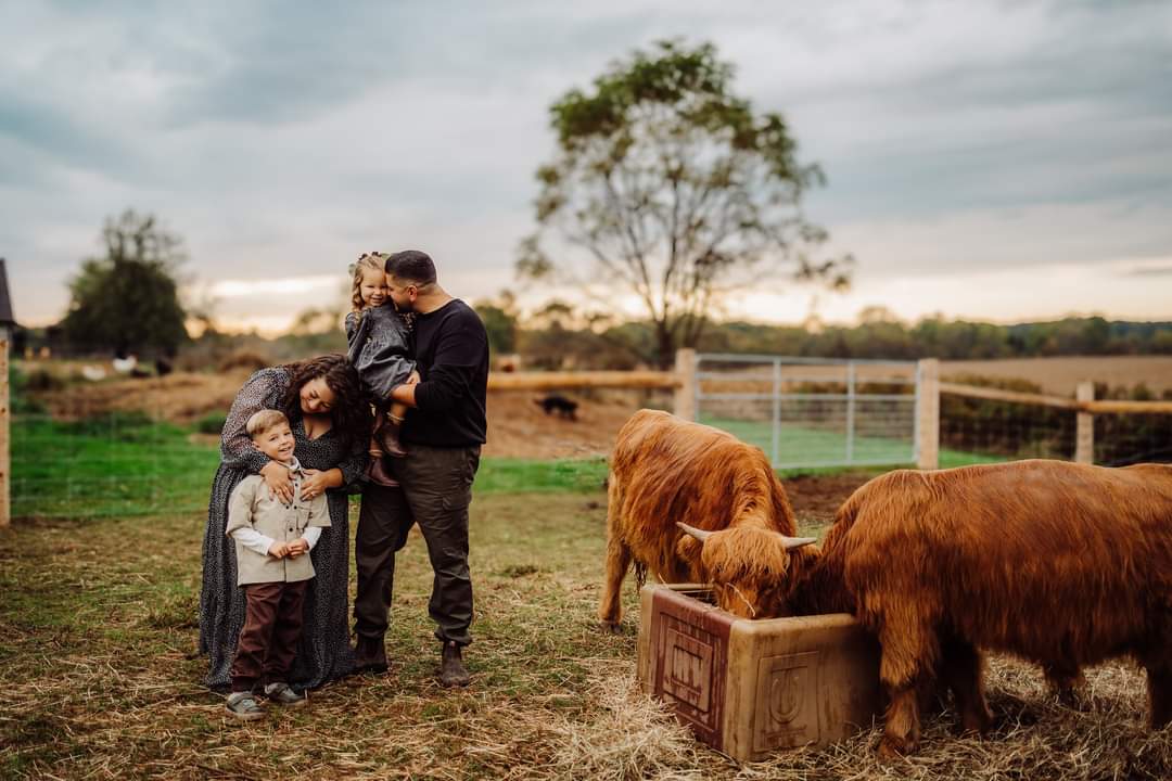 Image of Sunset Farm Minis - Deposit 