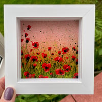 Image 3 of 'Sunset Poppies'