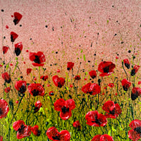 Image 1 of 'Sunset Poppies'