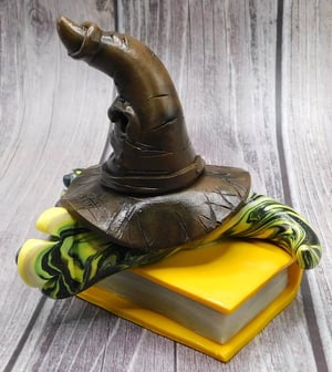 Image of Newt the Mini Mon and Sorting Hat