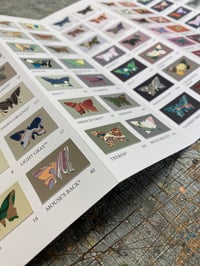 Image 4 of Hand Marbled butterfly specimen on Farrow and Ball paint chart - last one for 2024 