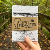 Image 1 of Winter in Yellowstone - 3 Greeting Card Set