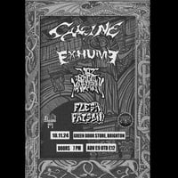 CALCINE / EXHUME / NWP / FLESH PRISON 10.11.24