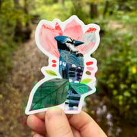 Image 2 of Blue Jay Sticker