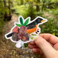 Image 2 of Robin Sticker