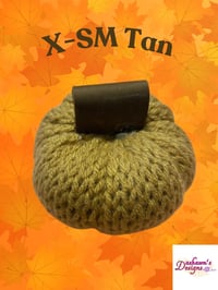 Image 2 of X-Small Pumpkins
