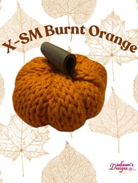 Image 4 of X-Small Pumpkins