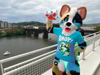 Image 2 of Ahoy! Tee
