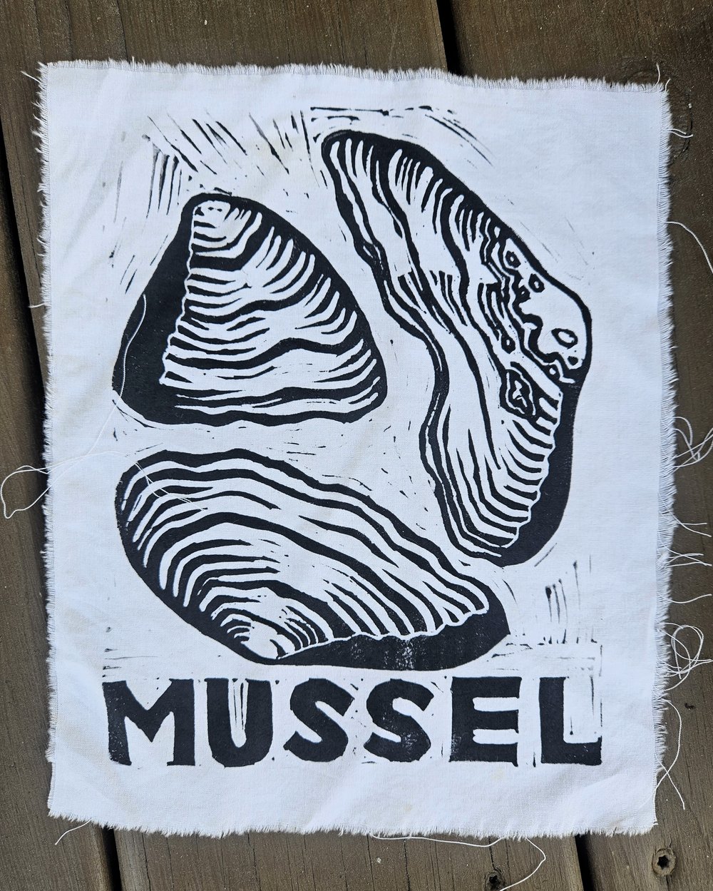 Image of Mussel Patches