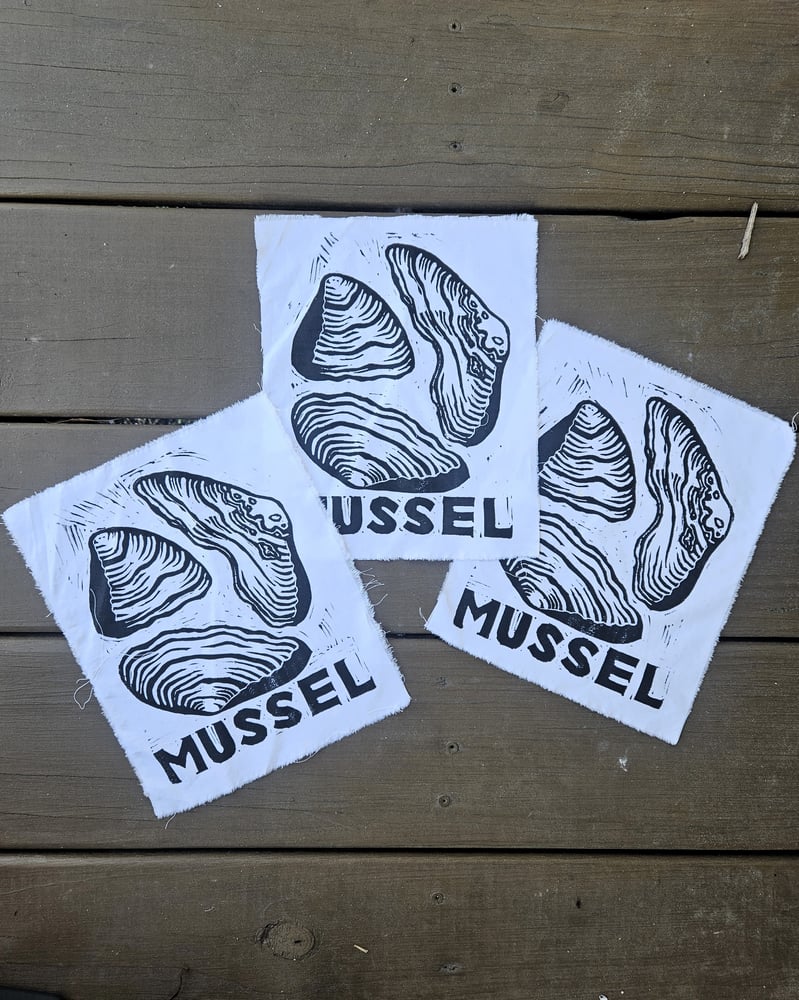 Image of Mussel Patches