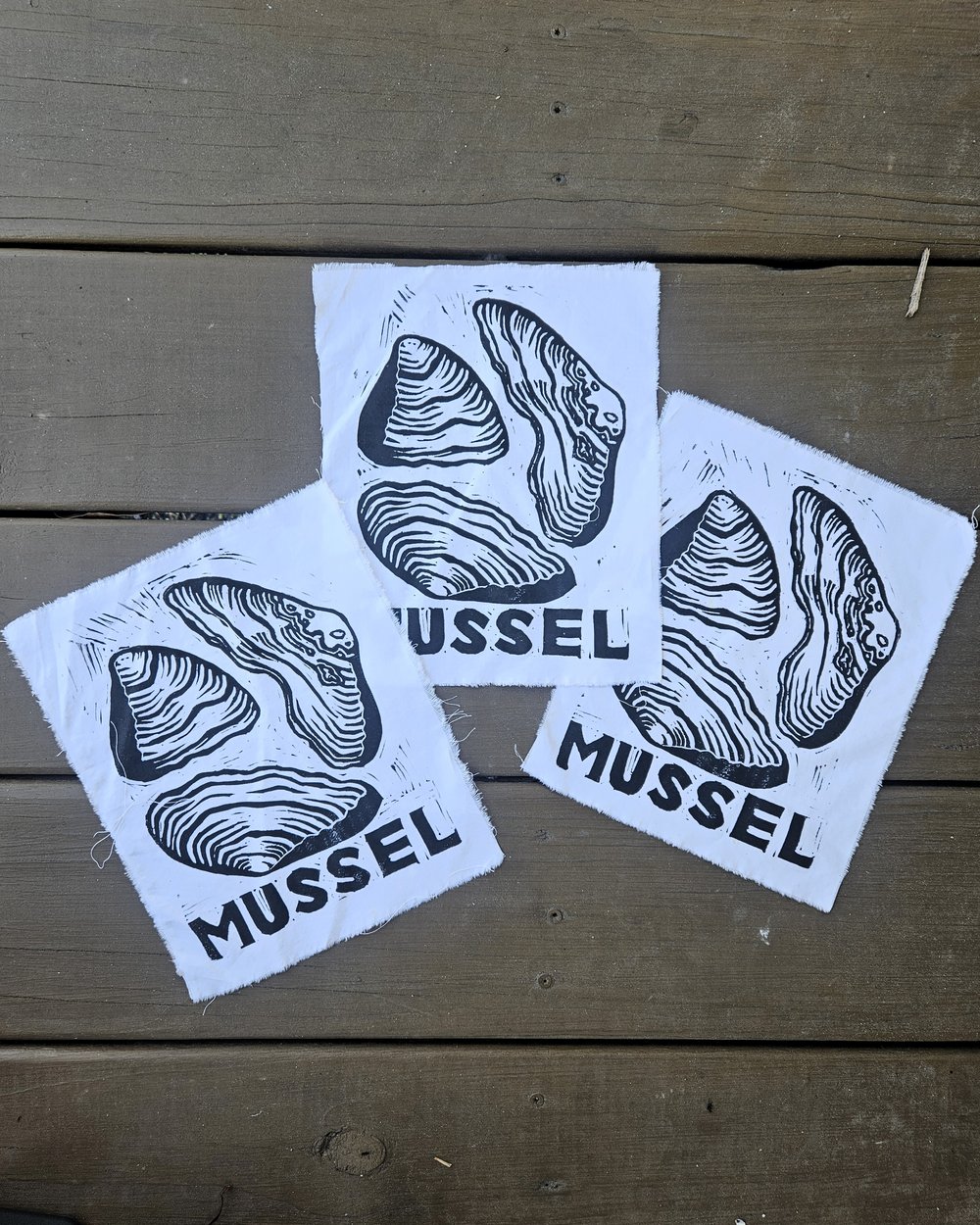 Image of Mussel Patches