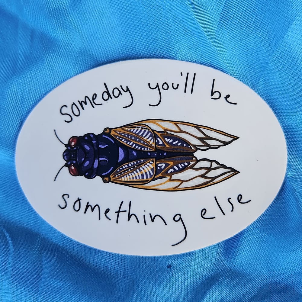 Image of Cicada Stickers