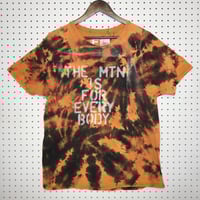 Image 1 of Resurrection Collection 13