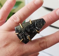 Image 5 of Petrified Black Palm Root Jewelry