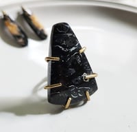 Image 4 of Petrified Black Palm Root Jewelry