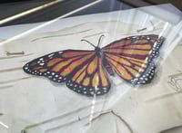Image 2 of Original Art: Monarch on Birch
