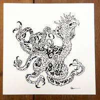 Image 3 of Royal Taloned Octopus Dragon