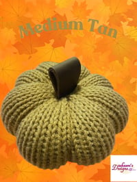 Image 3 of Medium Pumpkin