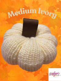 Image 5 of Medium Pumpkin