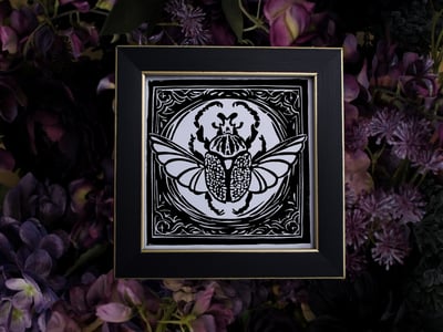 Image of Enigmatic Bloom