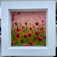 Image 3 of 'Sunrise Poppies'