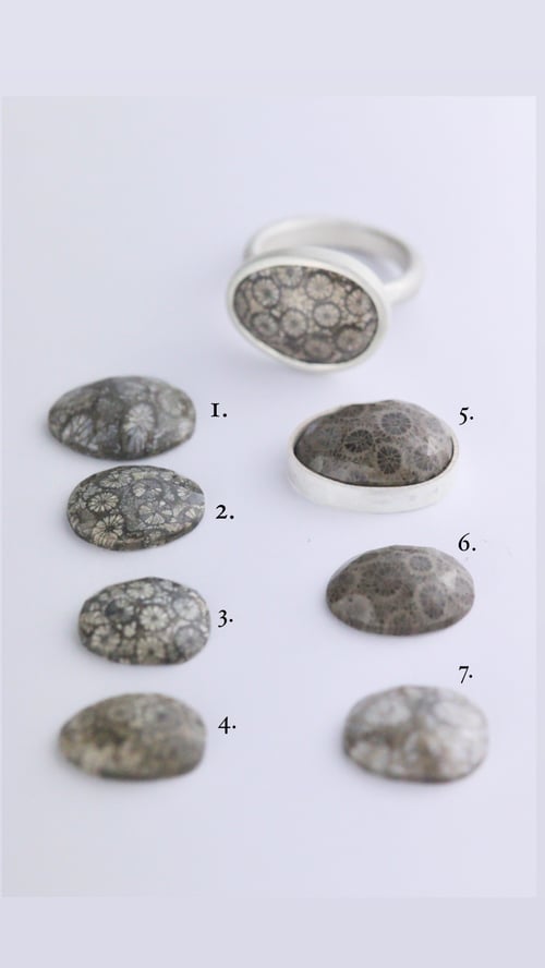 Image of FOSSILISED CORAL RING