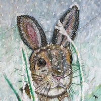 Polly The Hare Original