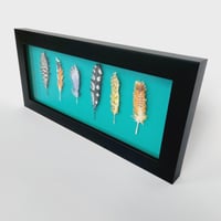 Image 2 of Feathers I     SOLD