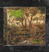 SEPTIZIN - SECRETS OF THE BODY FARM - CD