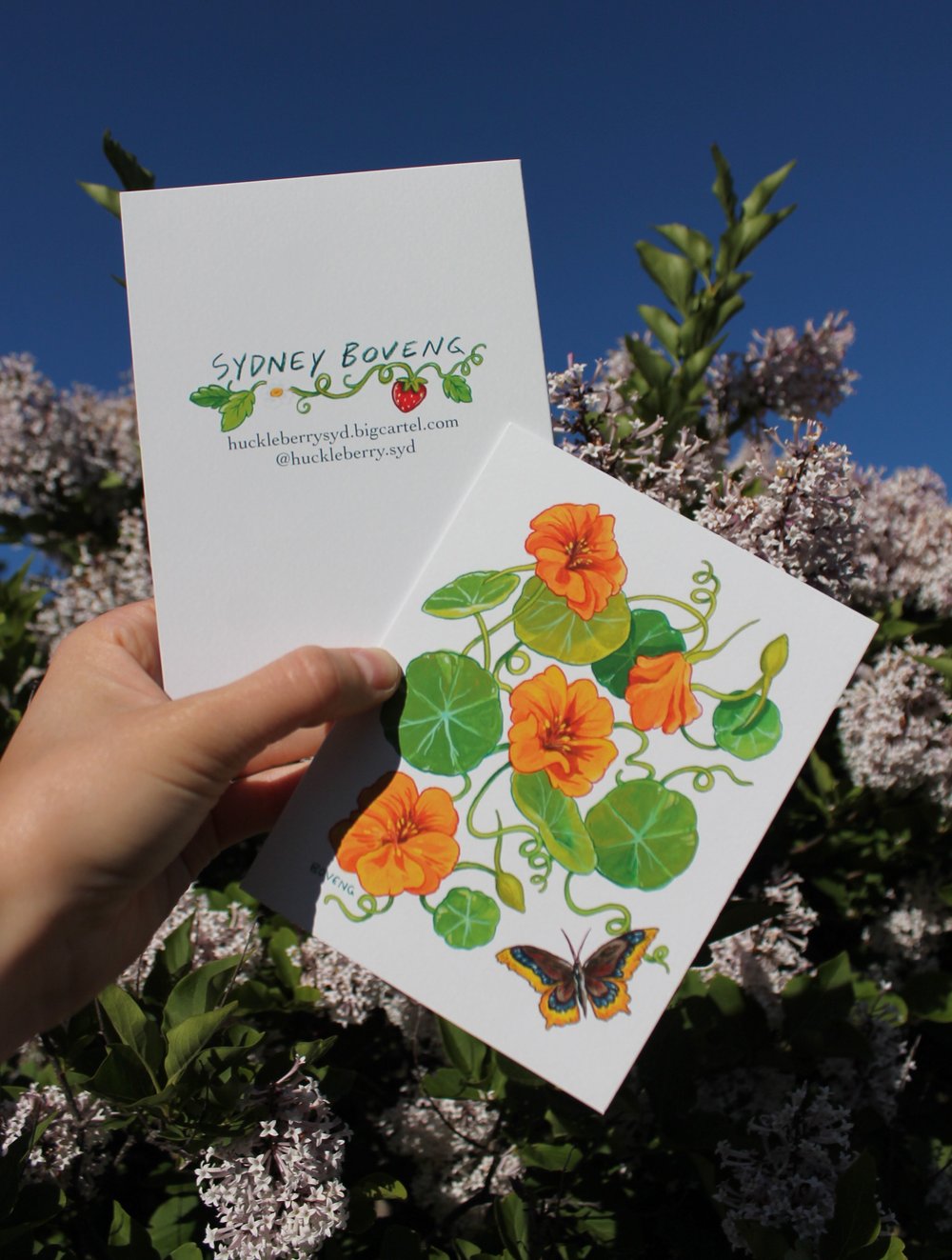 Image of Nasturtiums & Mourning Cloak Greeting Card