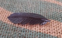 Crow feather brooch