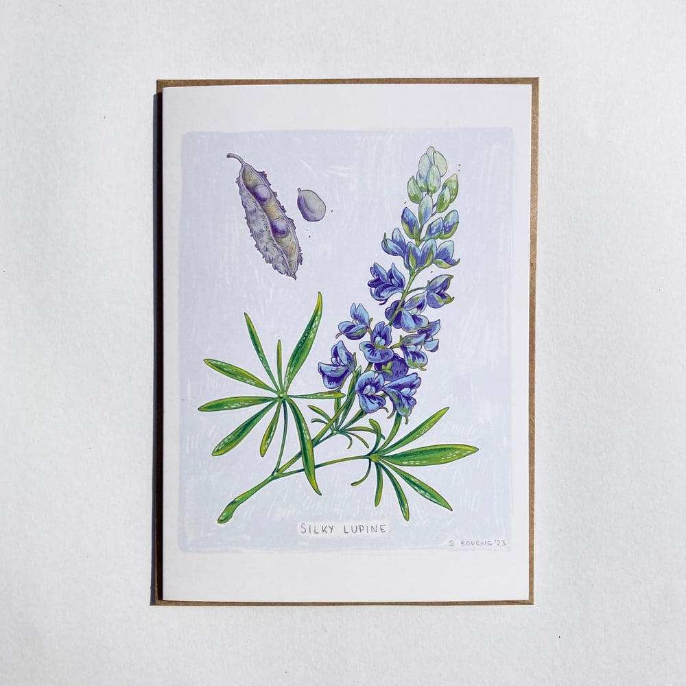 Image of Silky Lupine Greeting Card