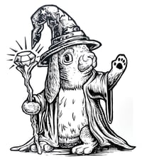 Image 5 of Bunny Wizard T-shirt **FREE SHIPPING**