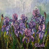 Irises 