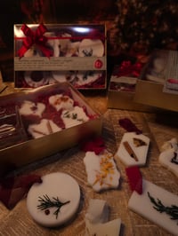 Image 3 of Christmas Ornaments - Wax Melts