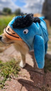 Image 5 of Eeyore Dog Hoodie