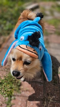 Image 7 of Eeyore Dog Hoodie