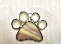 Image 5 of Paw