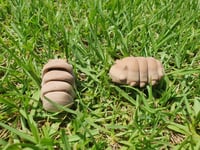 Image 6 of Mini Grub