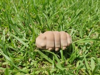 Image 5 of Mini Grub