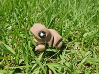 Image 3 of Little Frogs
