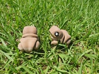 Image 4 of Little Frogs