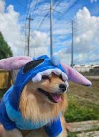 Image 6 of Stitch Dog Hoodie
