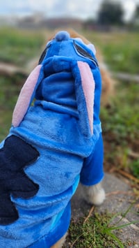 Image 3 of Stitch Dog Hoodie