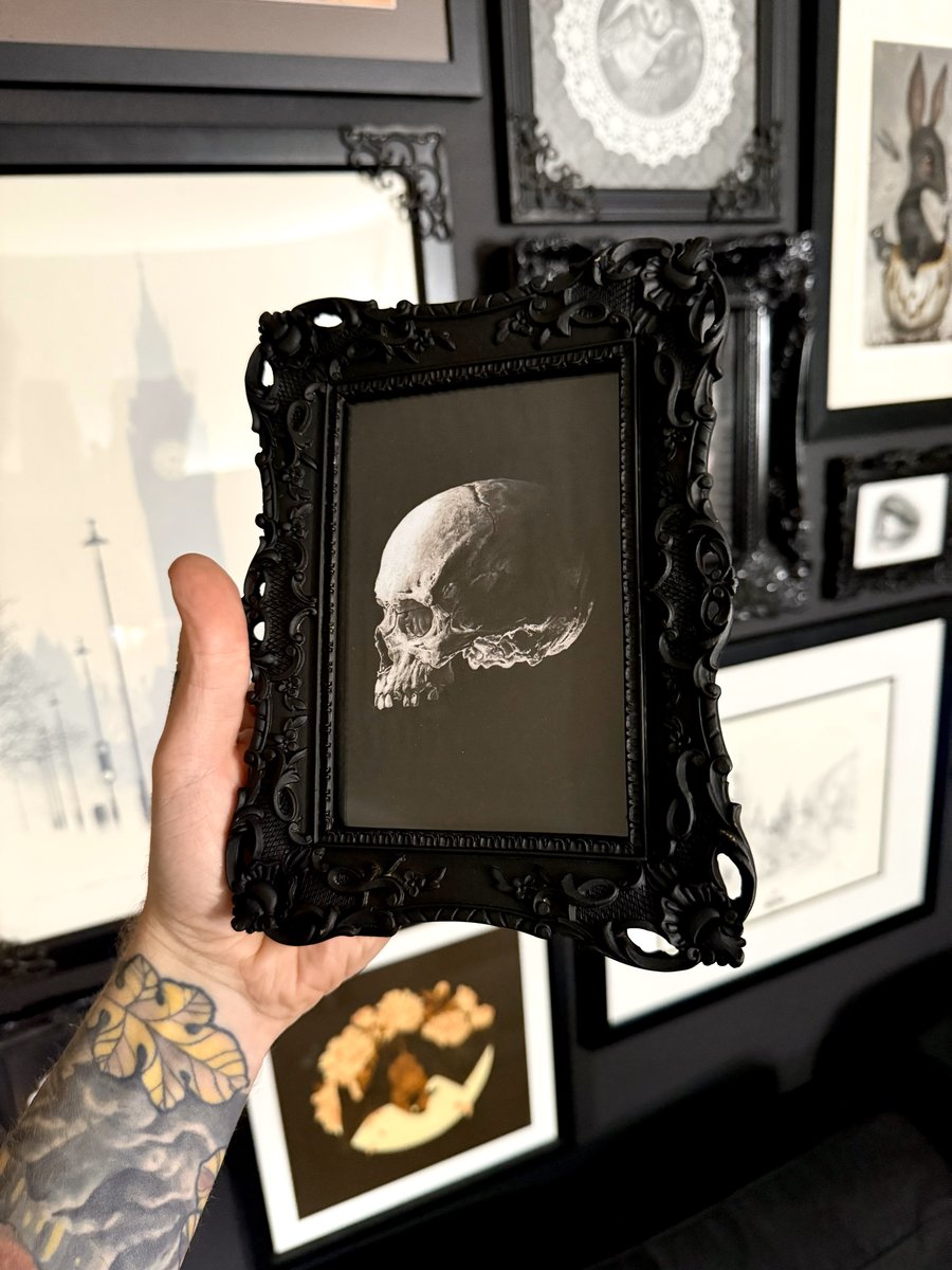 Image of Baroque Framed Skulls