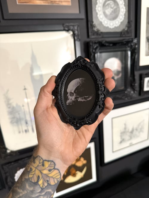 Image of Baroque Framed Skulls