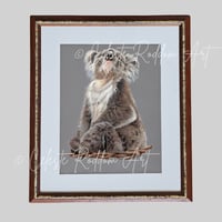 Image 1 of Totally Koalafied Original - Framed