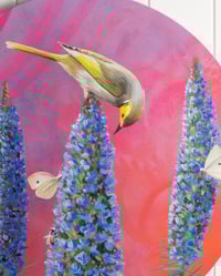 Image 3 of Pride of Madeira